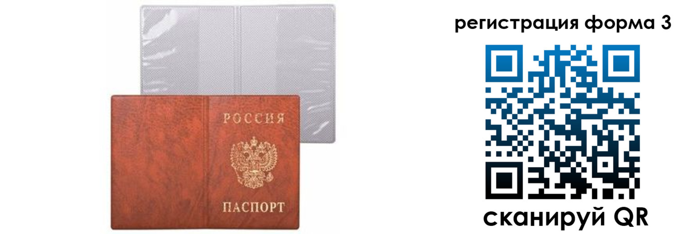 прописка 2025 в Шумихе